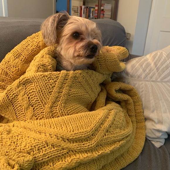 Meet your Posher, Naja - Picture 2 of 4